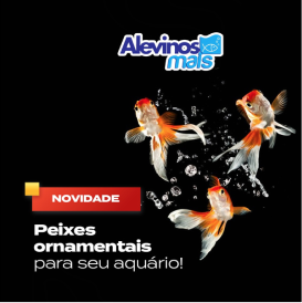 Post 1