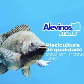 Post 4